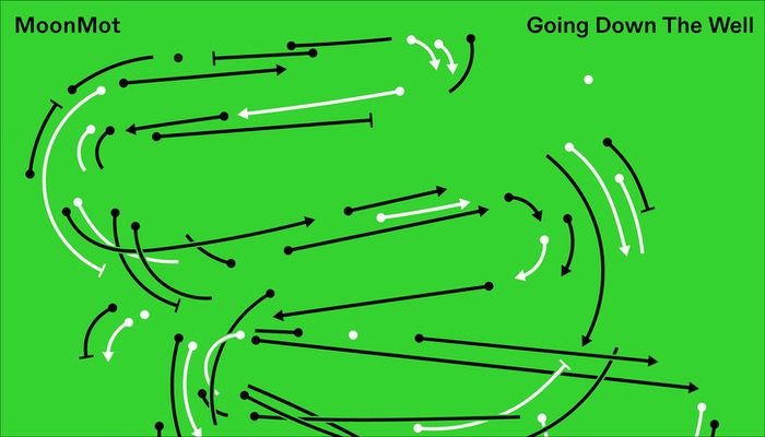 MoonMot Album Going Down The Well